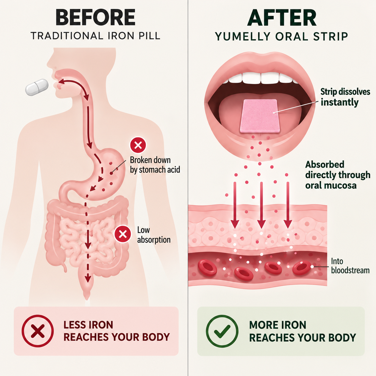 Oral Iron Strips